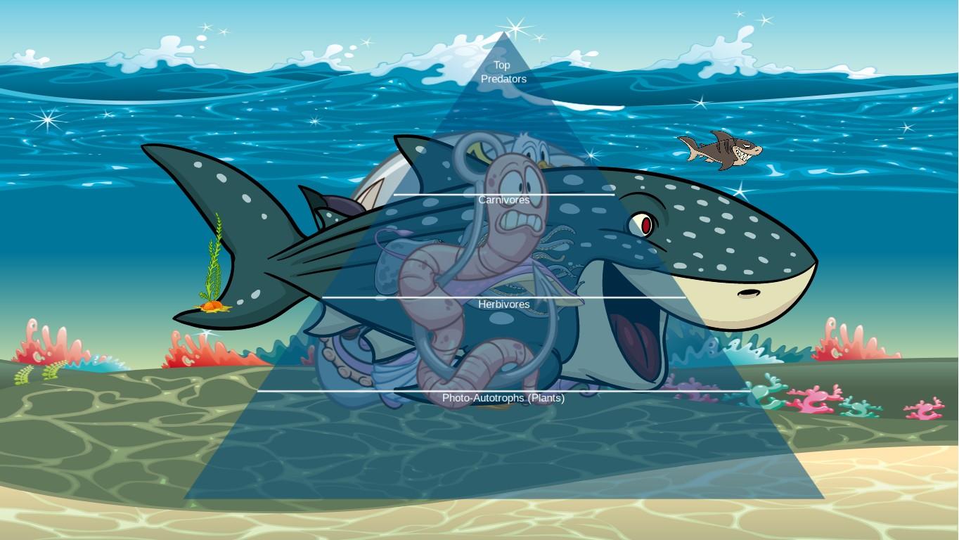 Ocean Ecological Pyramid