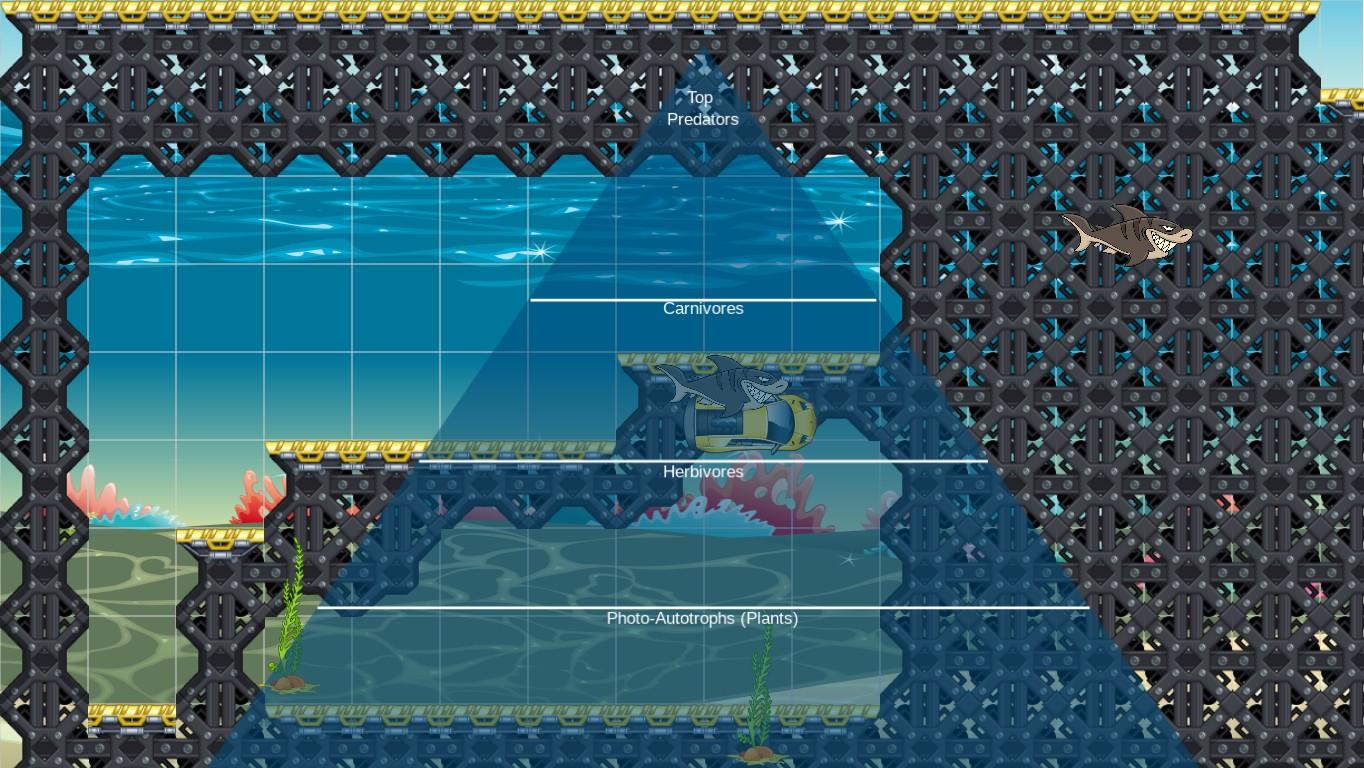 Ocean Ecological Pyramid