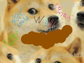 doge meem