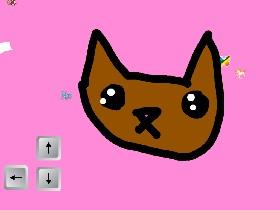 control kitty