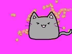 my kitten