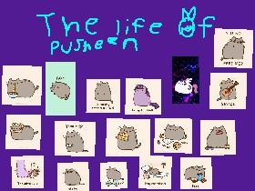 the life of pusheen