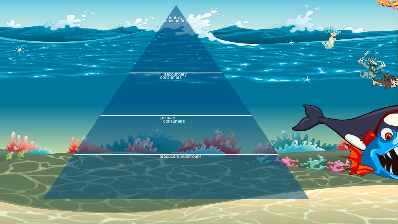 Ocean Ecological Pyramid