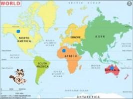 Cameron’s UOI Migration