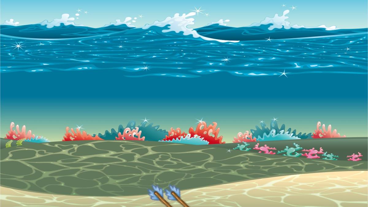 Ocean Ecological Pyramid