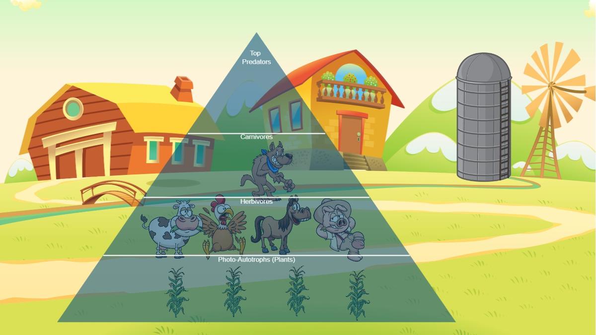 Ocean Ecological Pyramid