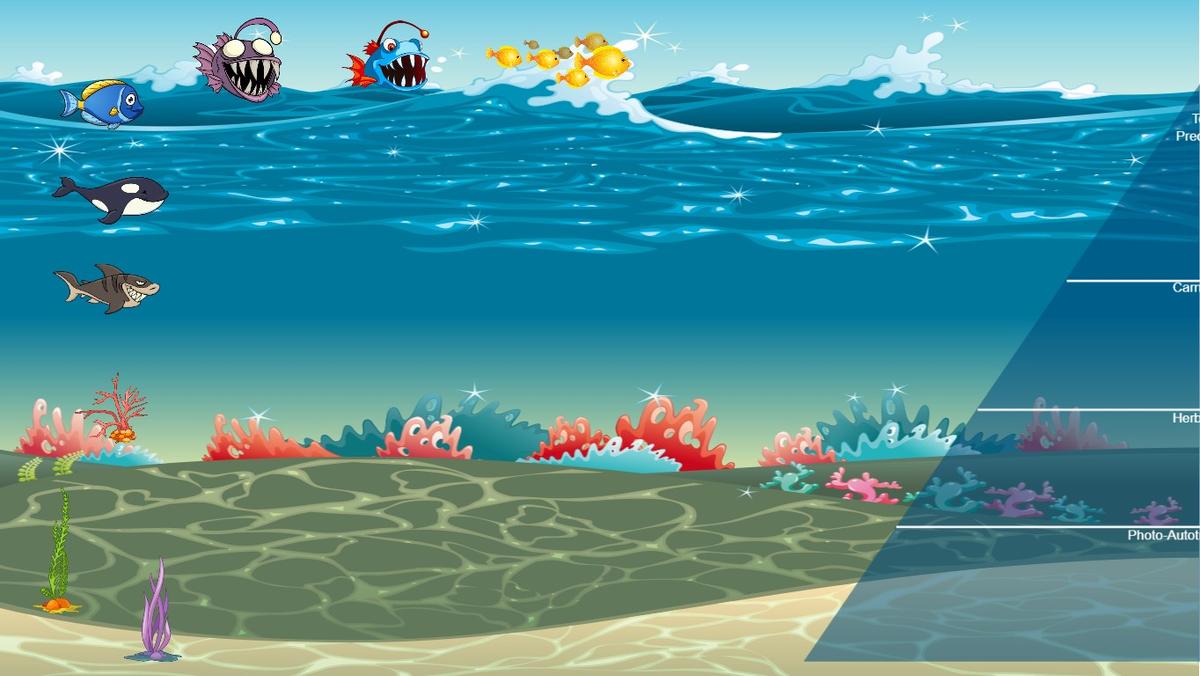 Ocean Ecological Pyramid