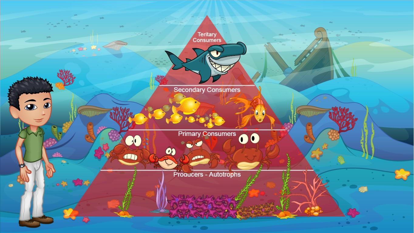 Ocean Ecological Pyramid