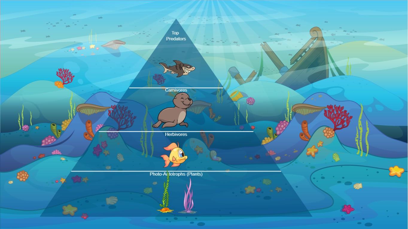 Ocean Ecological Pyramid
