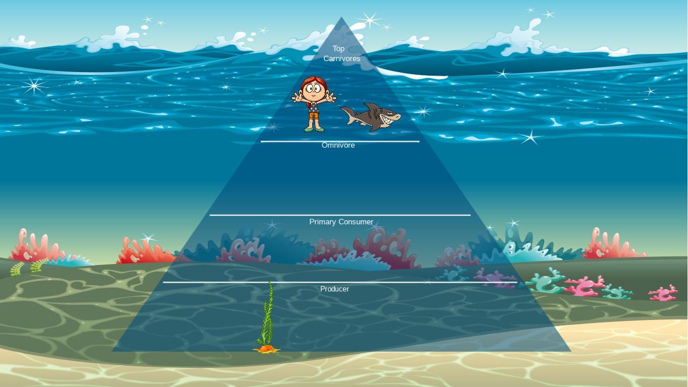 Ocean Ecological Pyramid