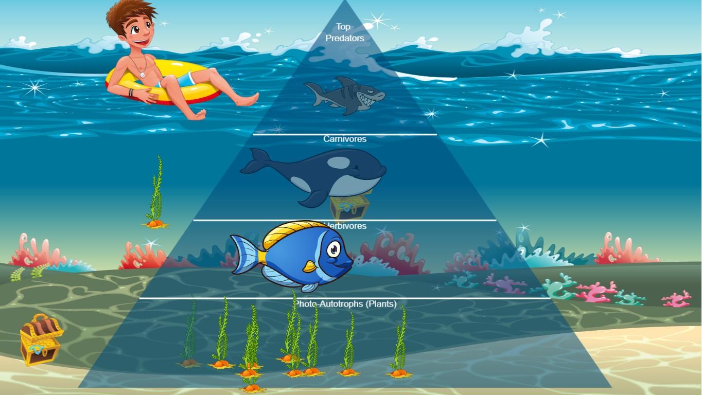 Ocean Ecological Pyramid