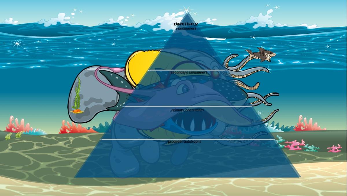Ocean Ecological Pyramid