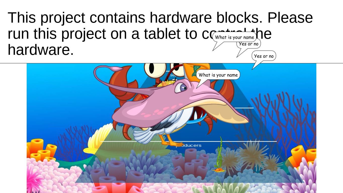 Ocean Ecological Pyramid