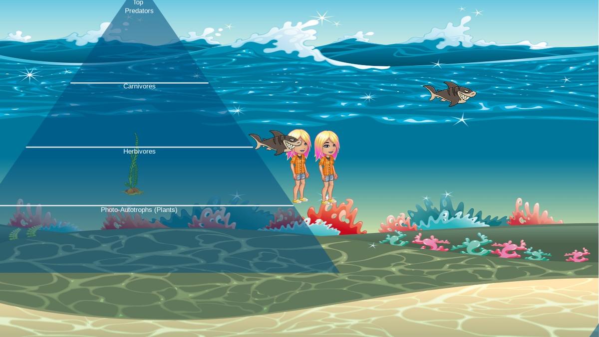 Ocean Ecological Pyramid