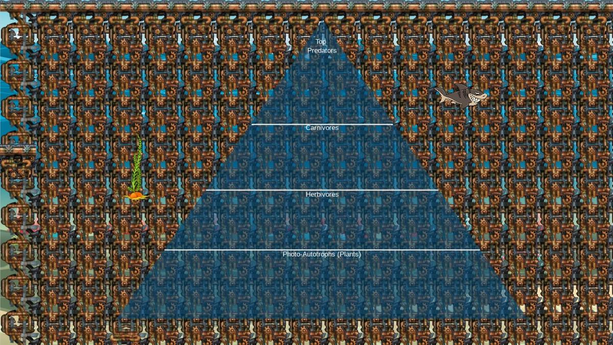 Ocean Ecological Pyramid