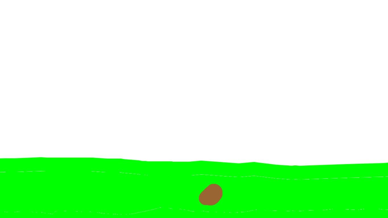 The groth of a flower