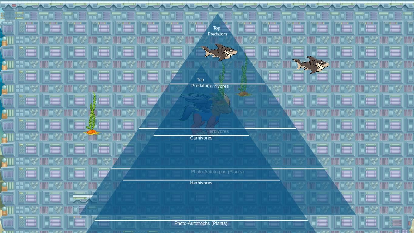Ocean Ecological Pyramid