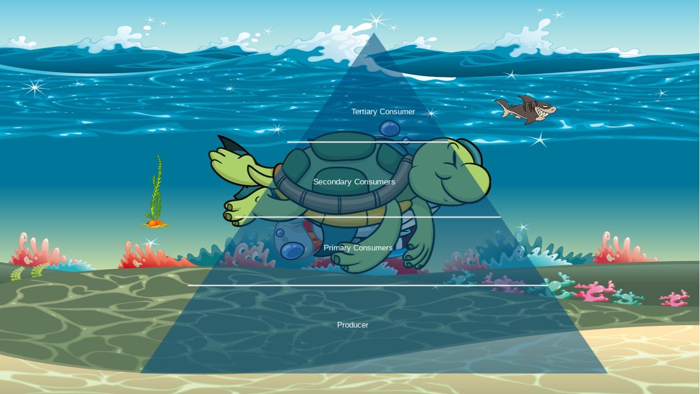 Ocean Ecological Pyramid