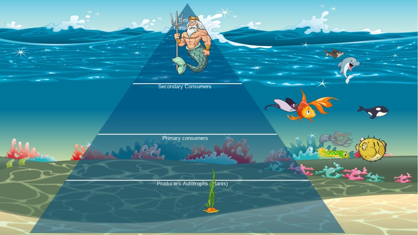 Ocean Ecological Pyramid