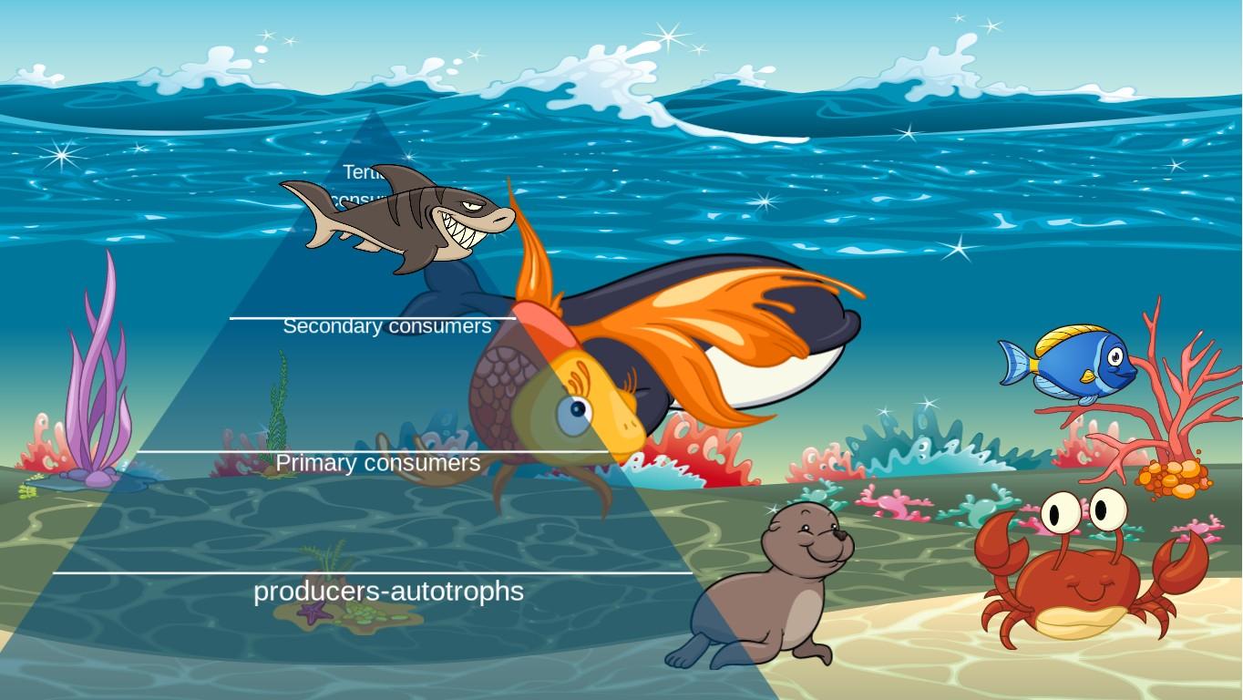 Ocean Ecological Pyramid