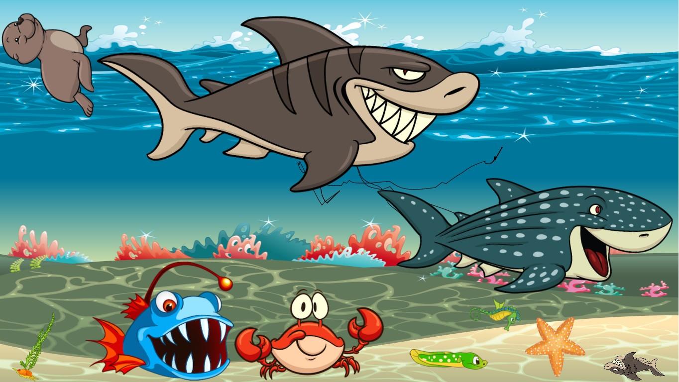 Ocean Ecological Pyramid