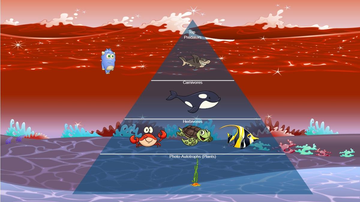 Ocean Ecological Pyramid