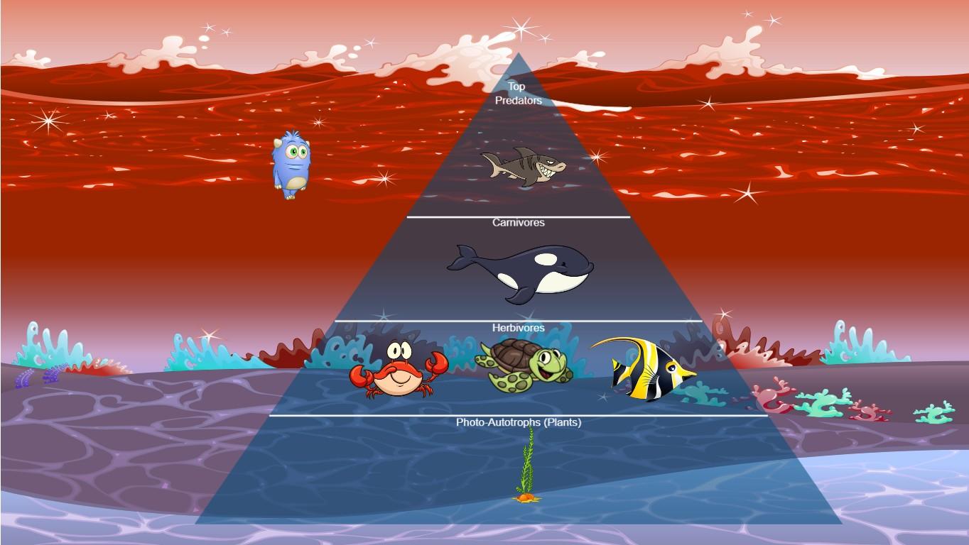 Ocean Ecological Pyramid