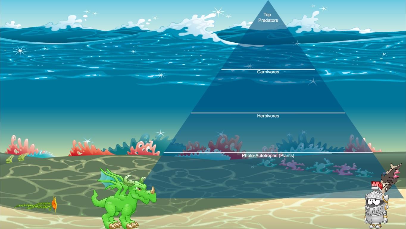 Ocean Ecological Pyramid