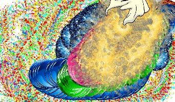 Spin Draw 1
