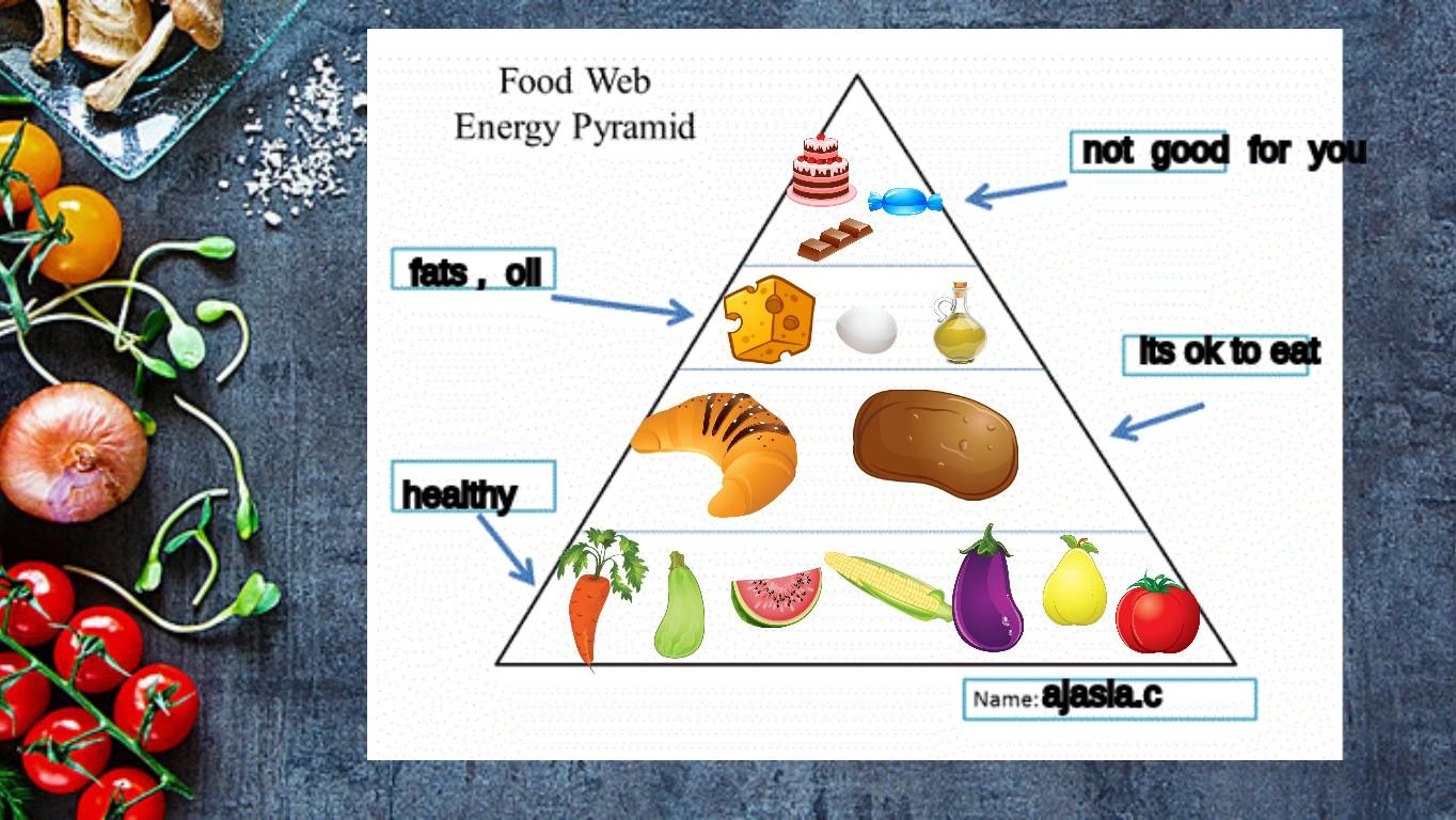 Ocean Ecological Pyramid