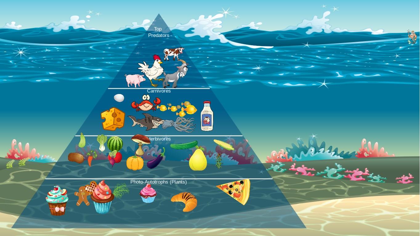 Ocean Ecological Pyramid