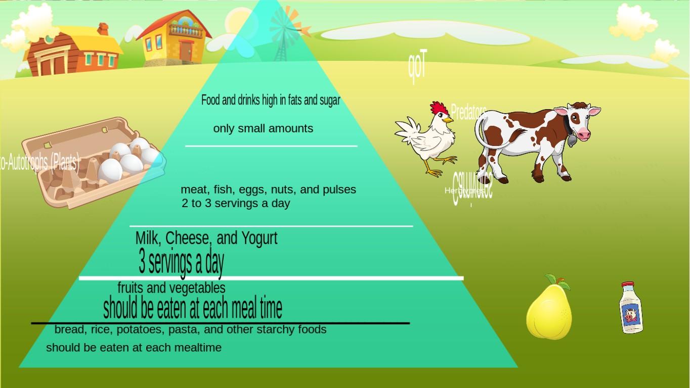 Ocean Ecological Pyramid