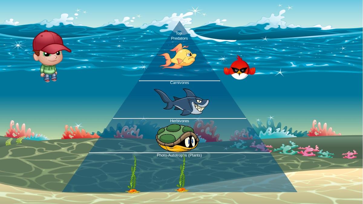 Ocean Ecological Pyramid