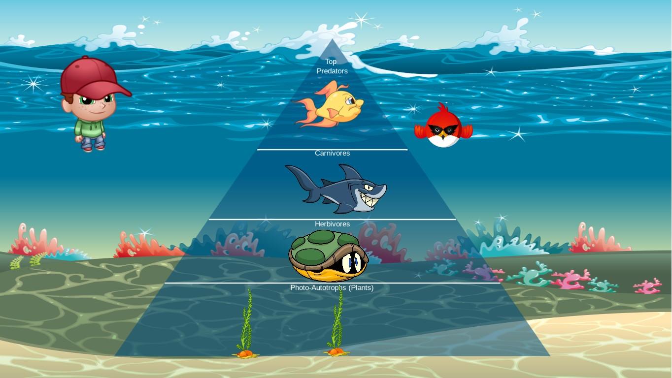 Ocean Ecological Pyramid