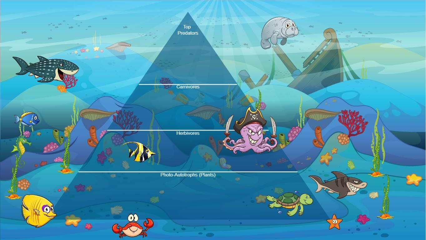 Ocean Ecological Pyramid
