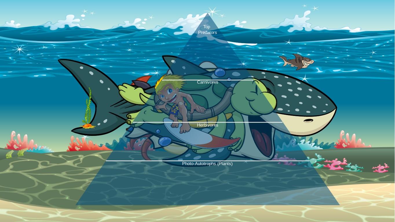 Ocean Ecological Pyramid