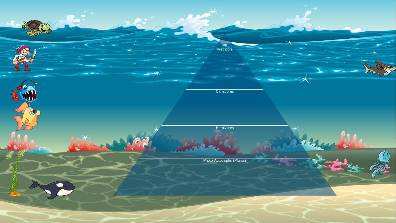 Ocean Ecological Pyramid