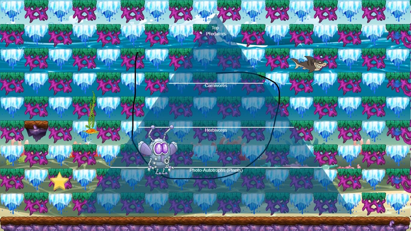 Ocean Ecological Pyramid