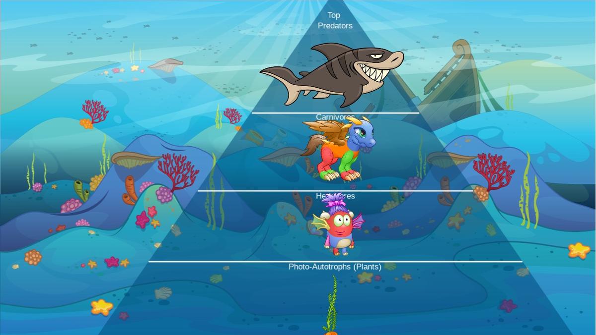 Ocean Ecological Pyramid