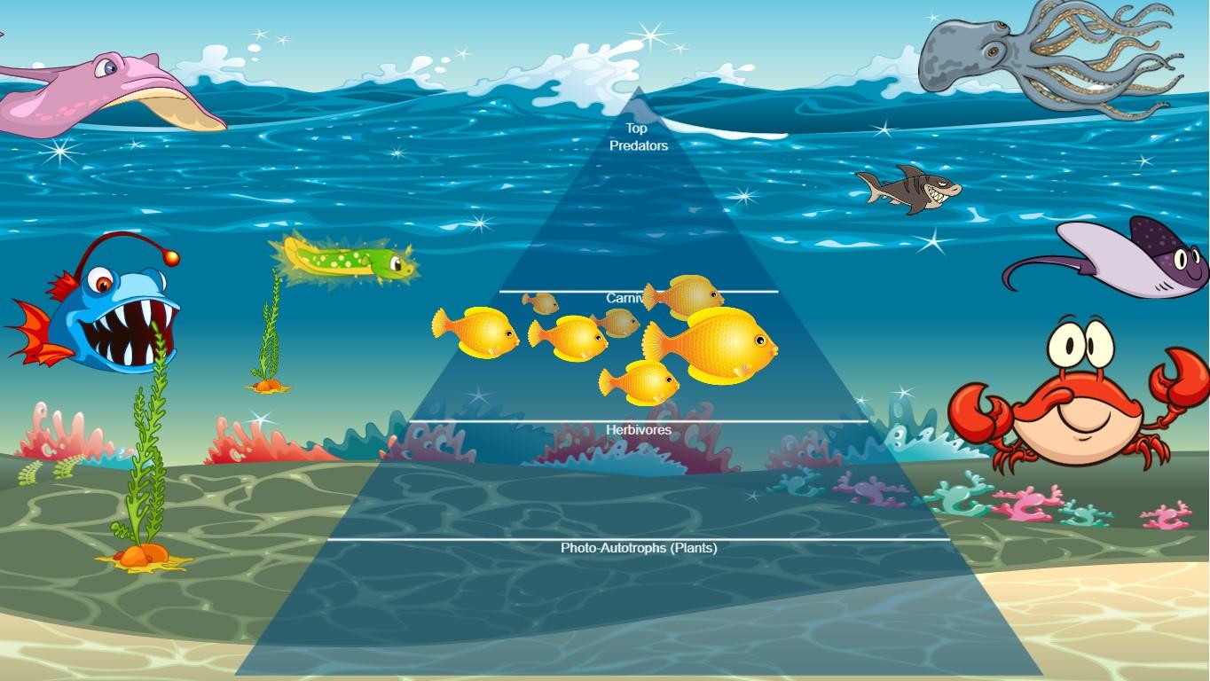 Ocean Ecological Pyramid