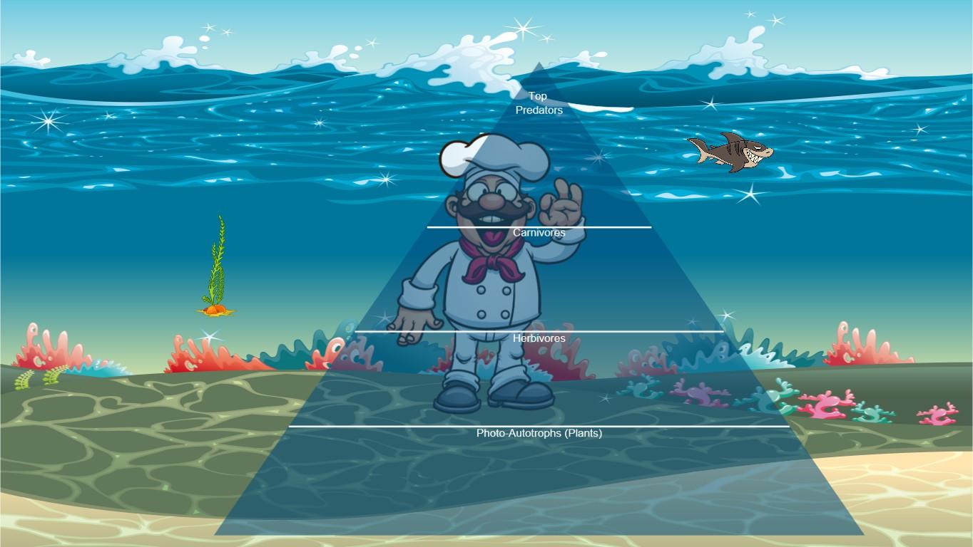 Ocean Ecological Pyramid