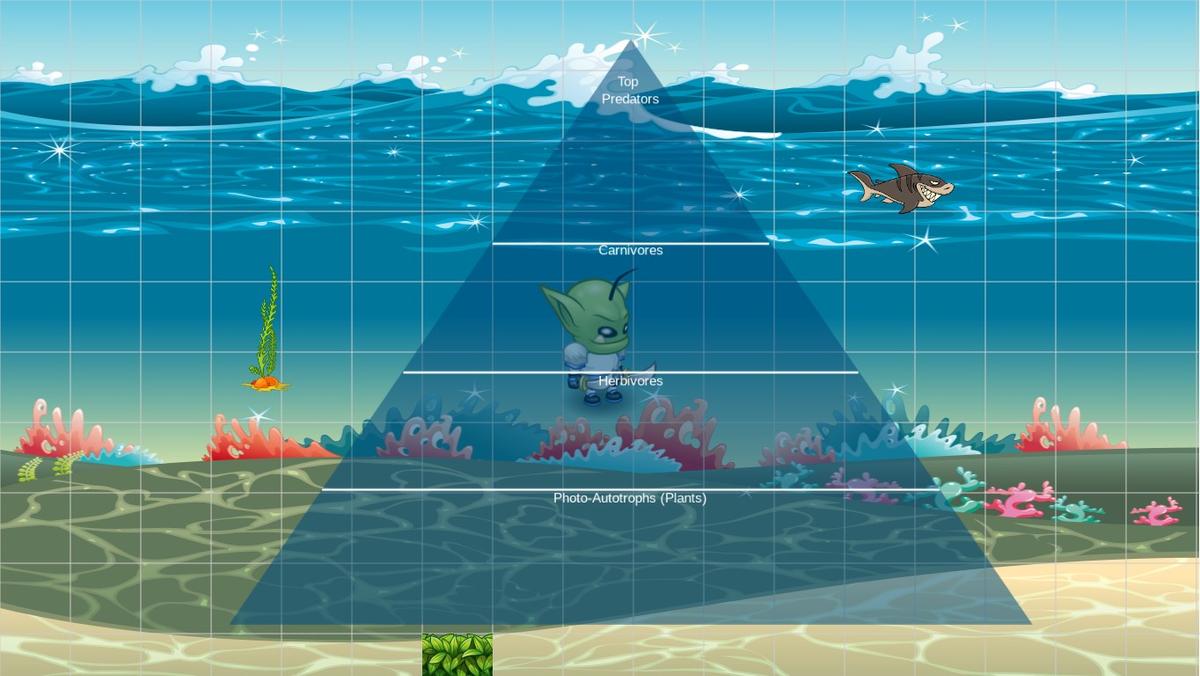 Ocean Ecological Pyramid
