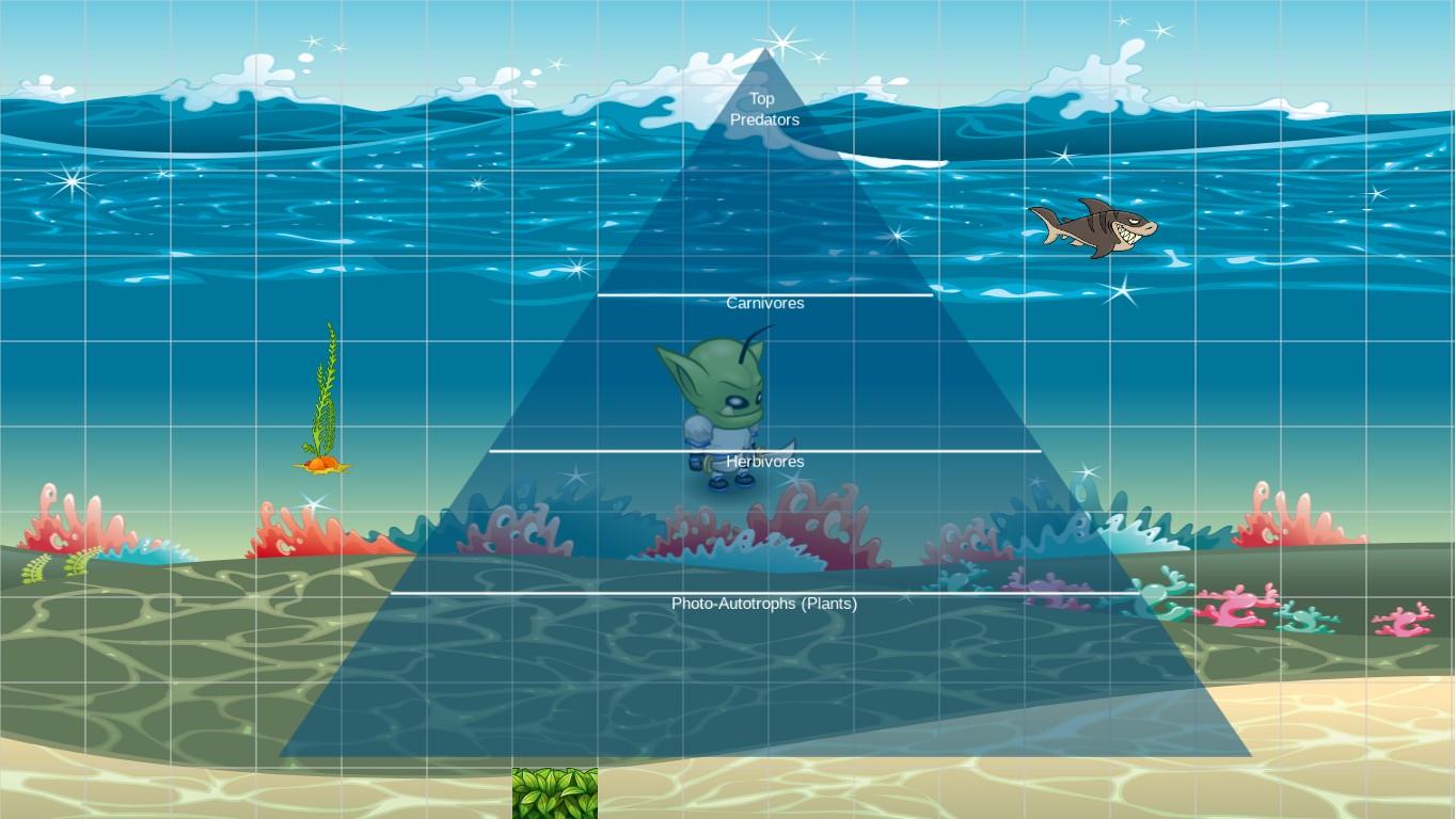 Ocean Ecological Pyramid