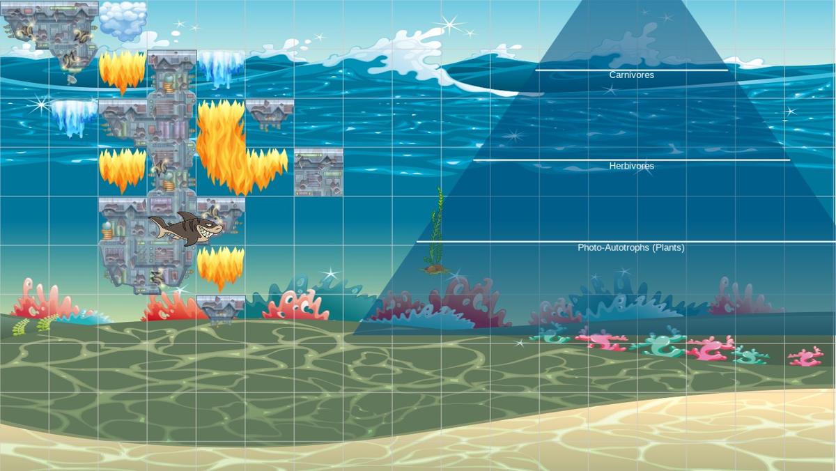 Ocean Ecological Pyramid