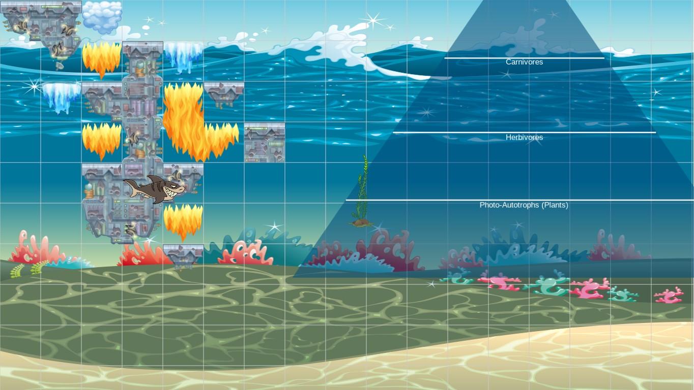 Ocean Ecological Pyramid