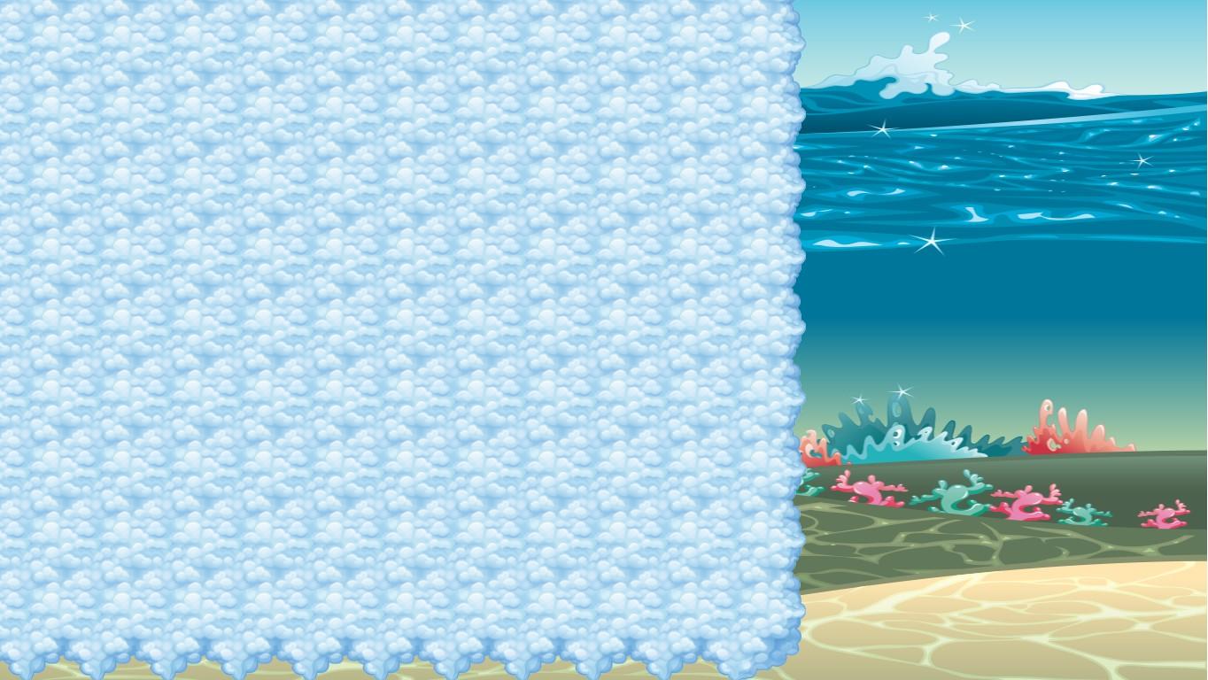 Ocean Ecological Pyramid