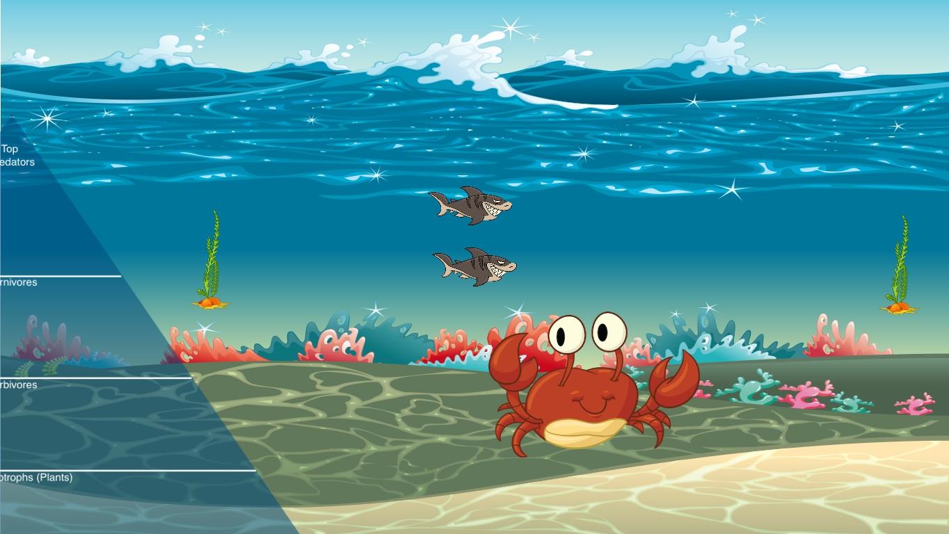 Ocean Ecological Pyramid