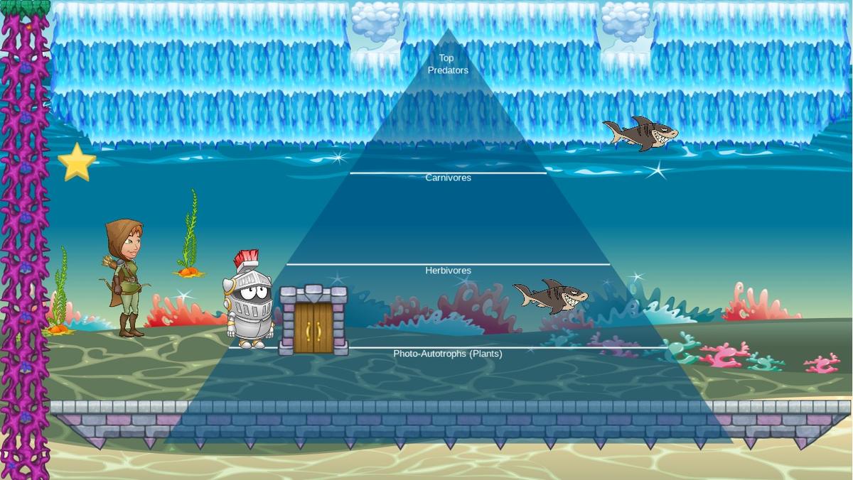 Ocean Ecological Pyramid