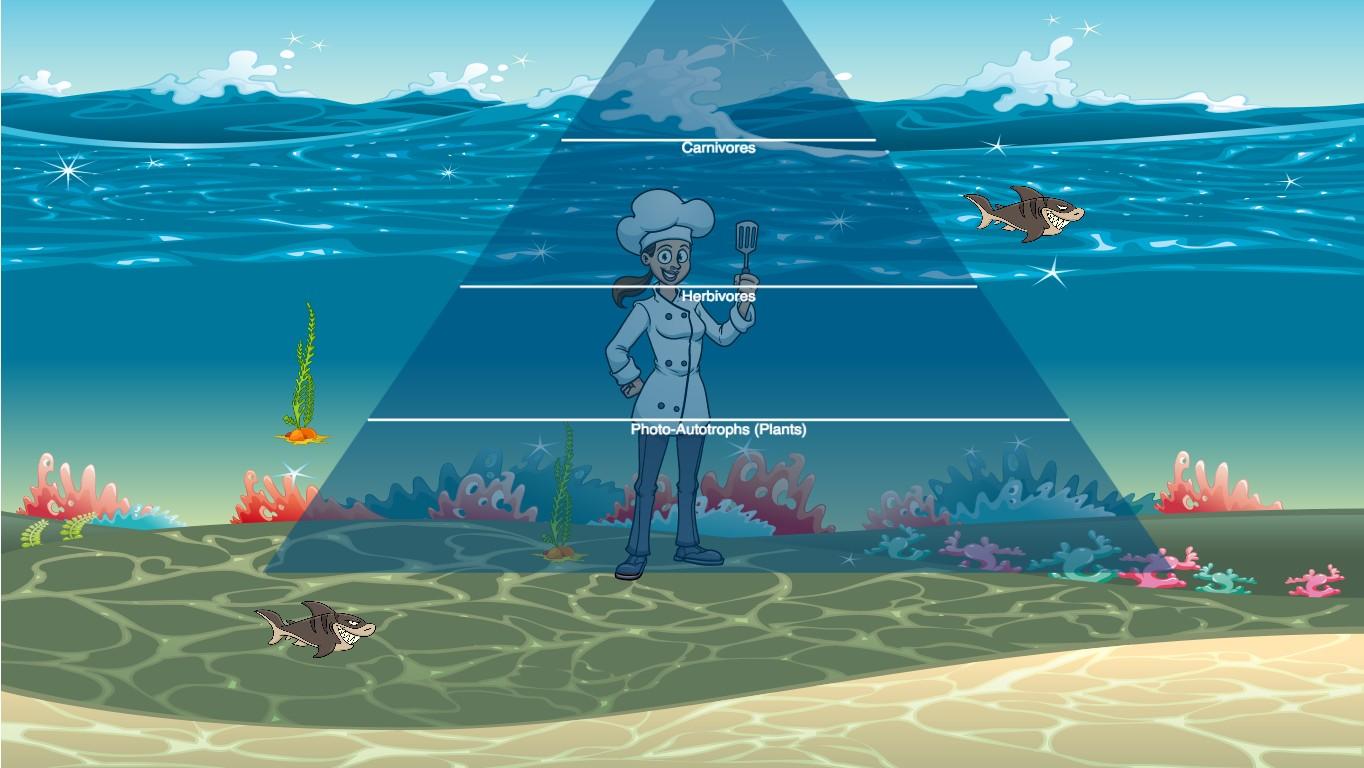 Ocean Ecological Pyramid