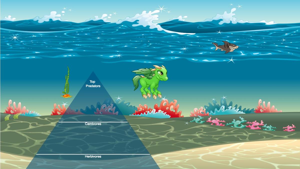 Ocean Ecological Pyramid